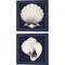 Coastal Shell with Border Navy by Avery Tillmon 14" x 14" Canvas Wall Art (Set of 2)